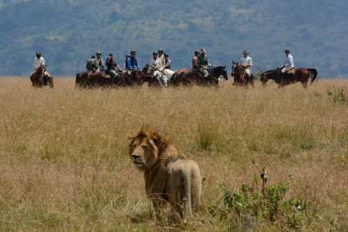 Image Kenya : Safari à cheval du Masai Mara