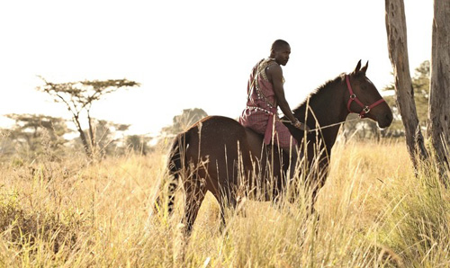 Image Kenya : Safari à cheval du Masai Mara