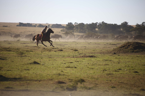 Image Kenya : Safari à cheval du Masai Mara