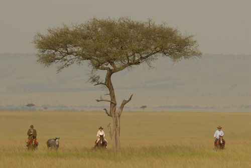 Image Kenya : Safari à cheval du Masai Mara