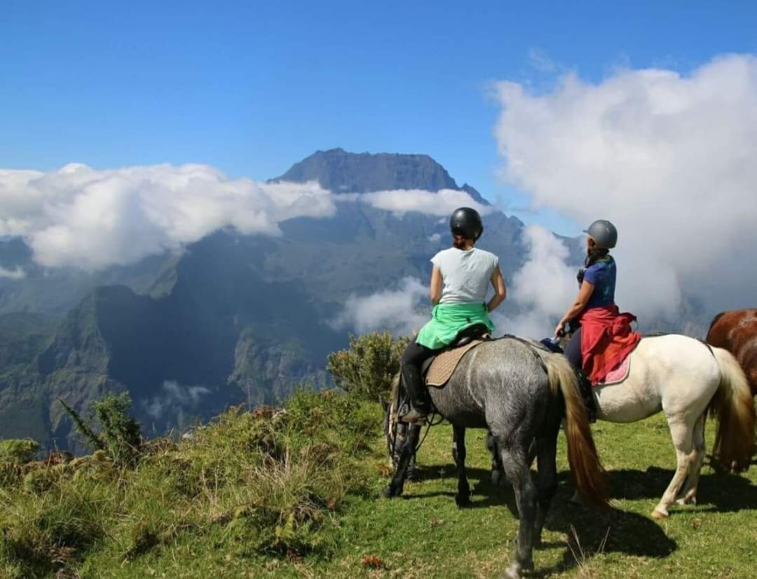 Image Réunion : Découverte de la Réunion à cheval