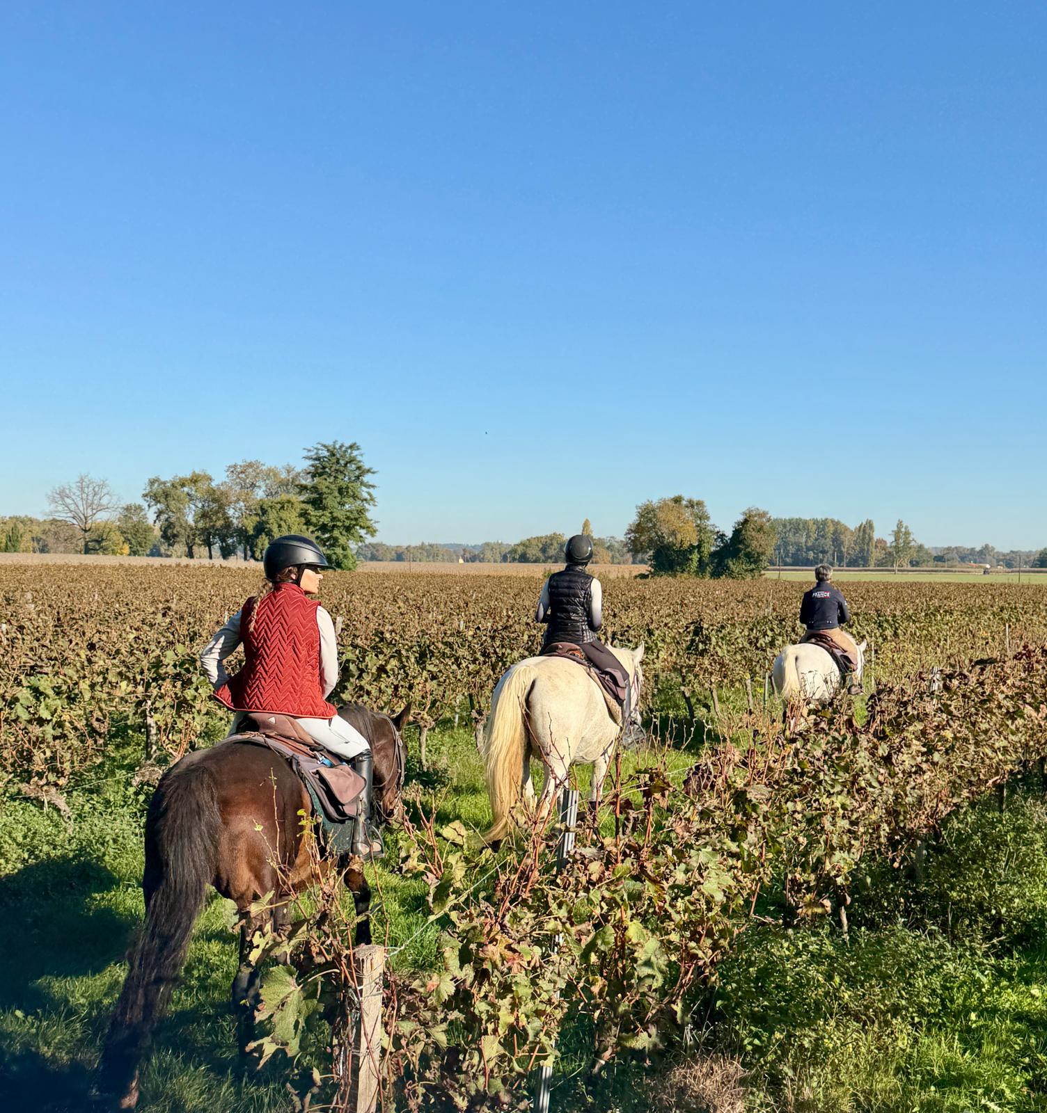 Image Les grands vins de Bordeaux à cheval