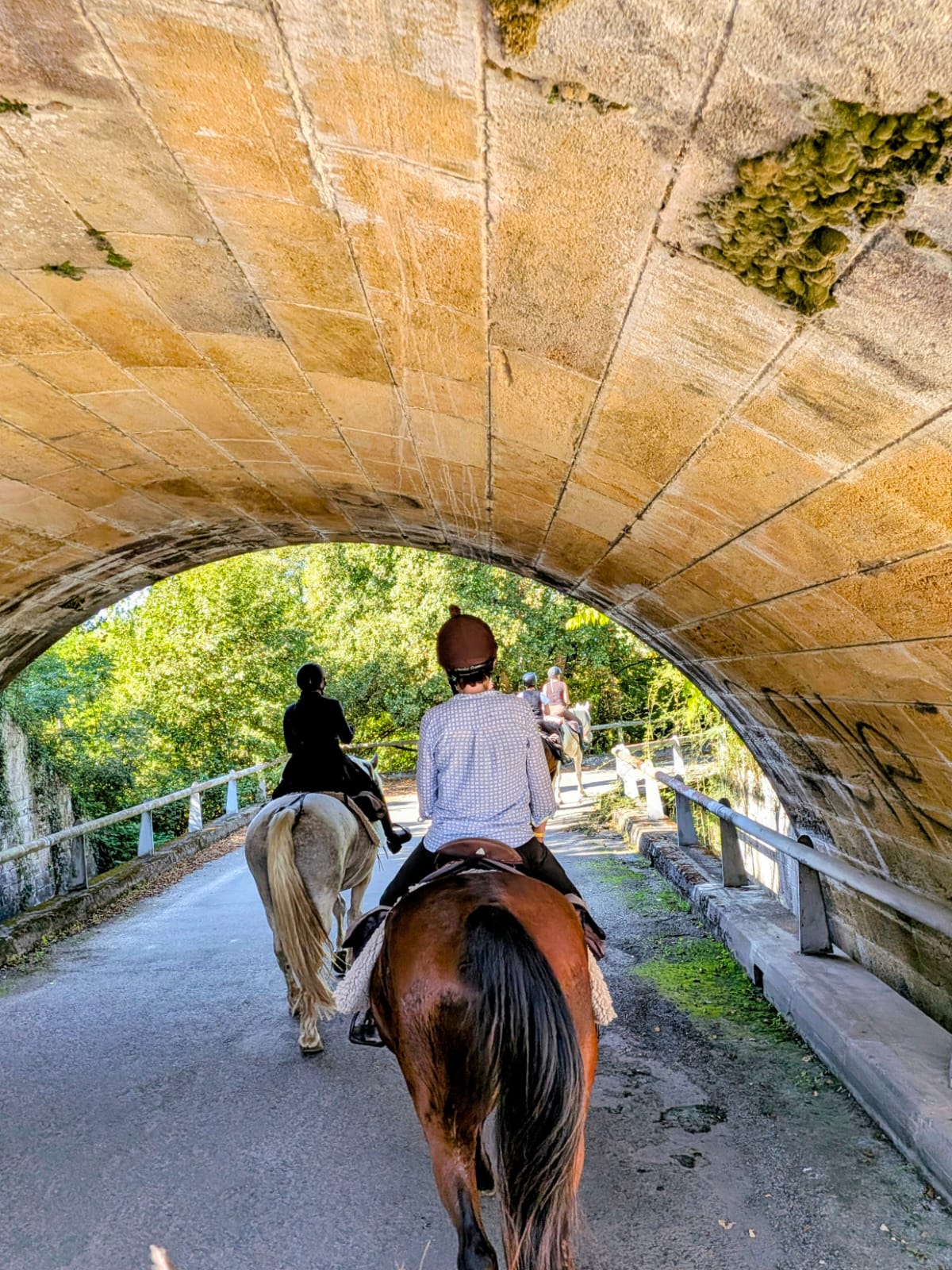 Image Les grands vins de Bordeaux à cheval