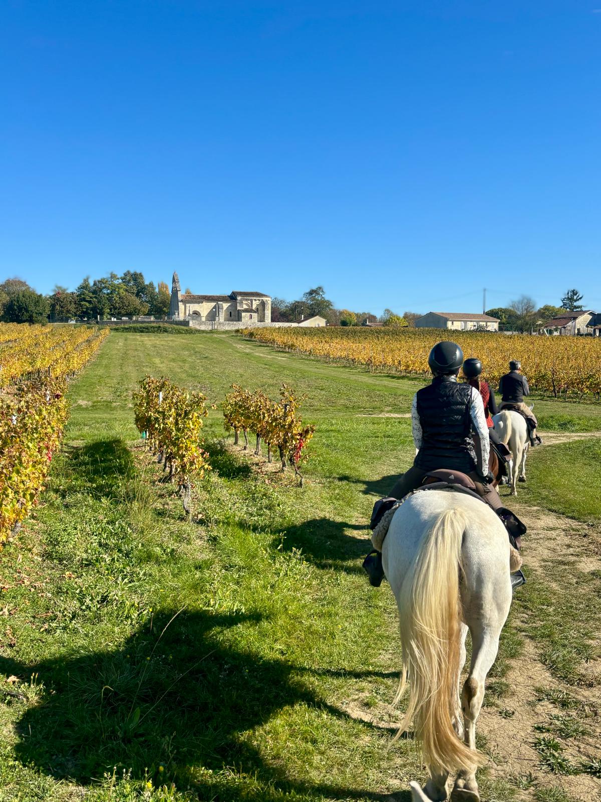 Image Les grands vins de Bordeaux à cheval