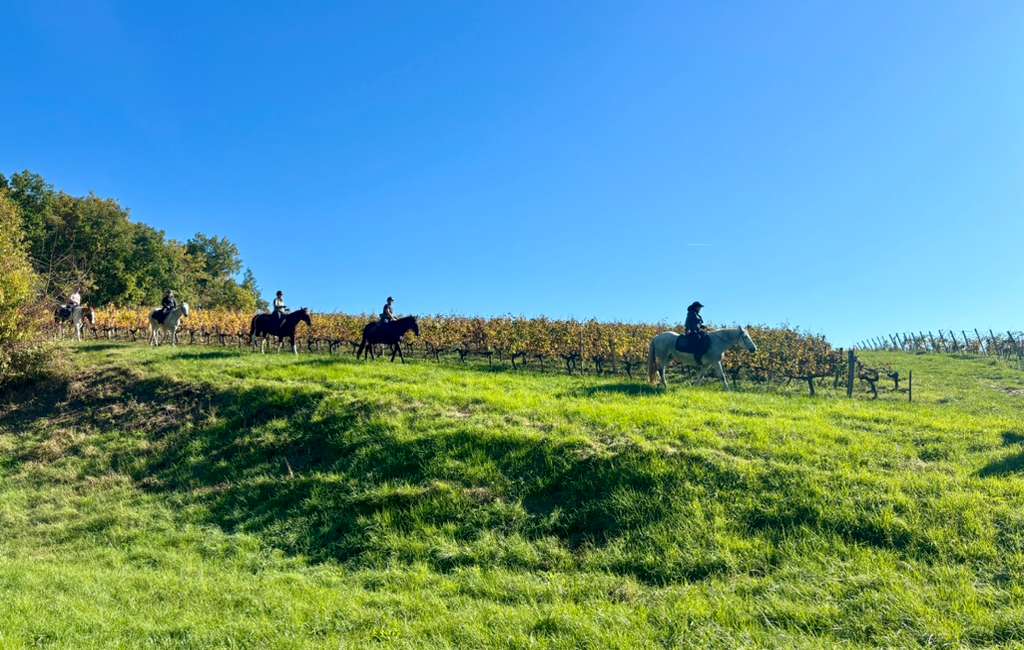 Image Les grands vins de Bordeaux à cheval