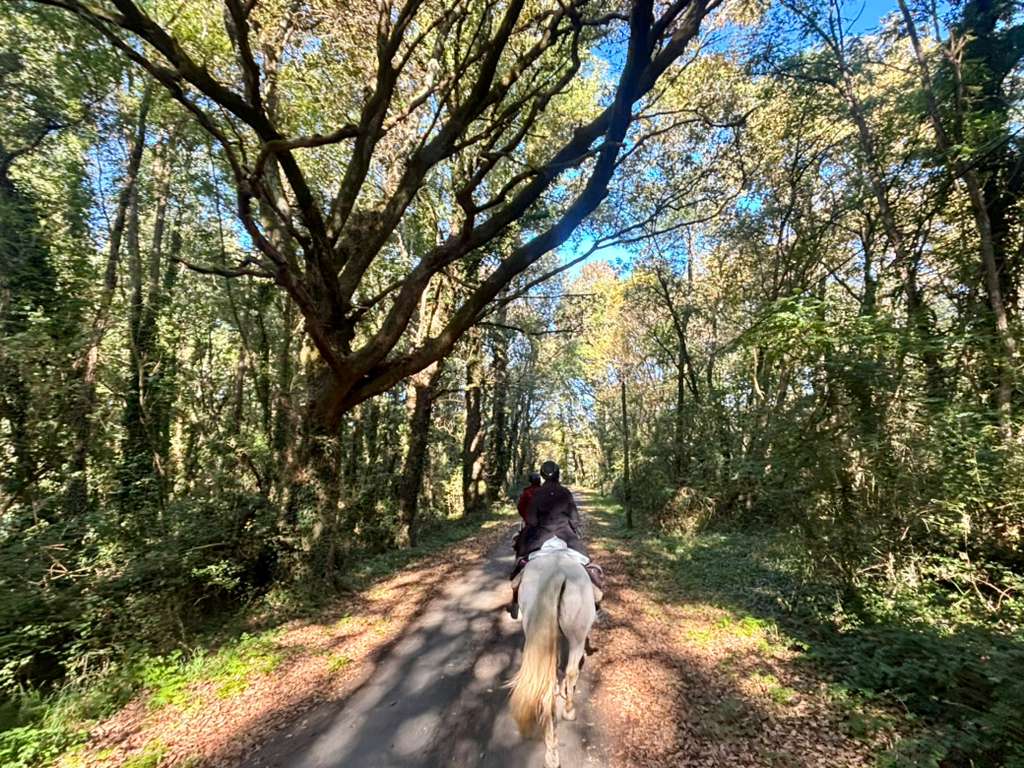Image Les grands vins de Bordeaux à cheval