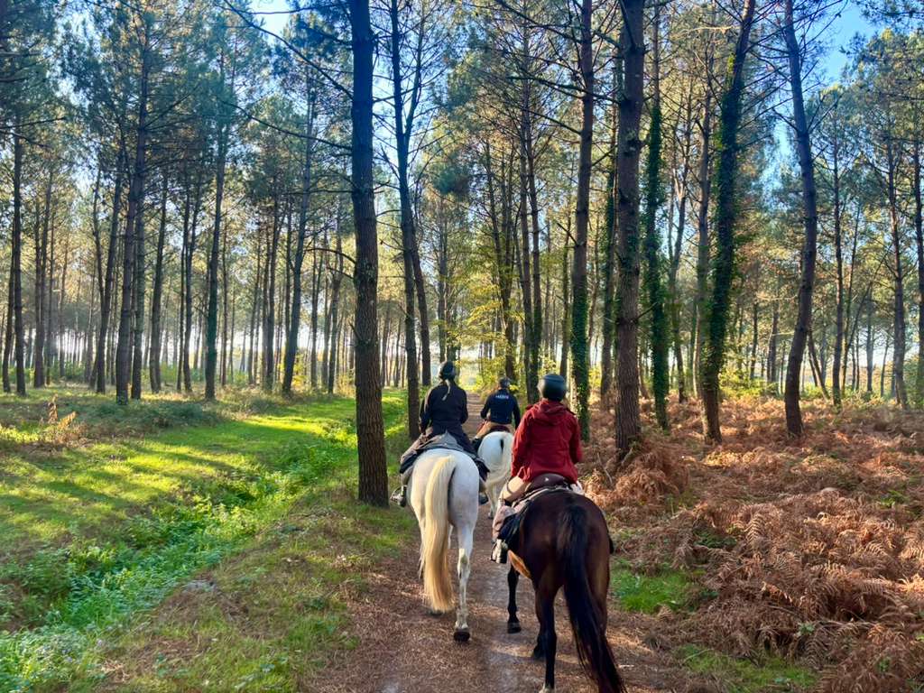 Image Les grands vins de Bordeaux à cheval