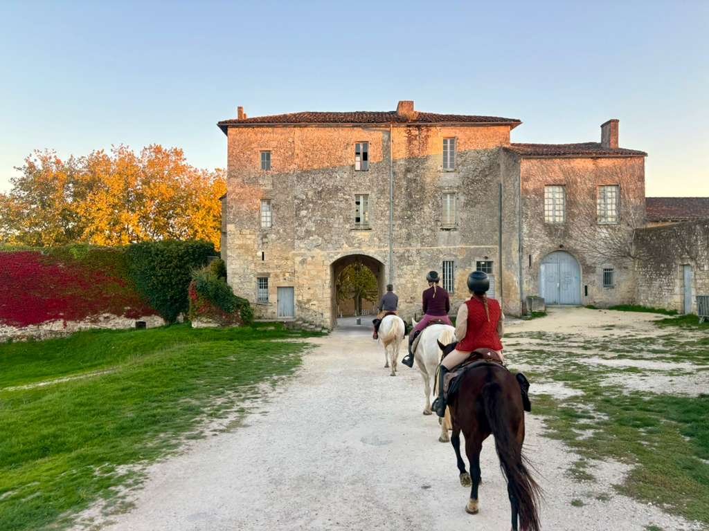 Image Les grands vins de Bordeaux à cheval