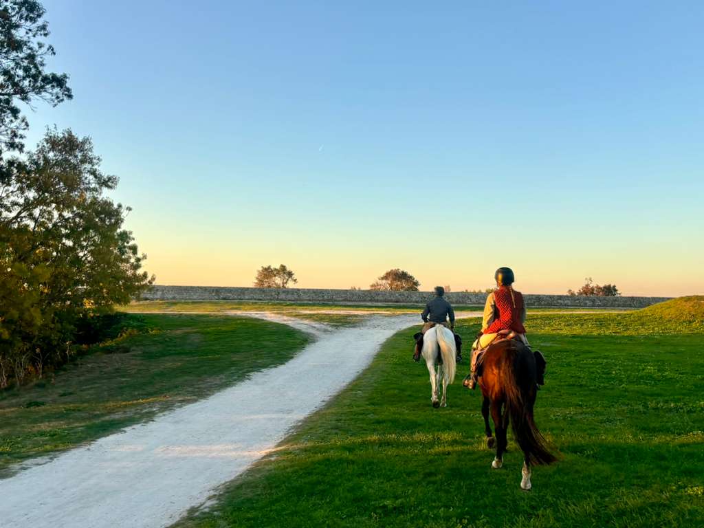 Image Les grands vins de Bordeaux à cheval