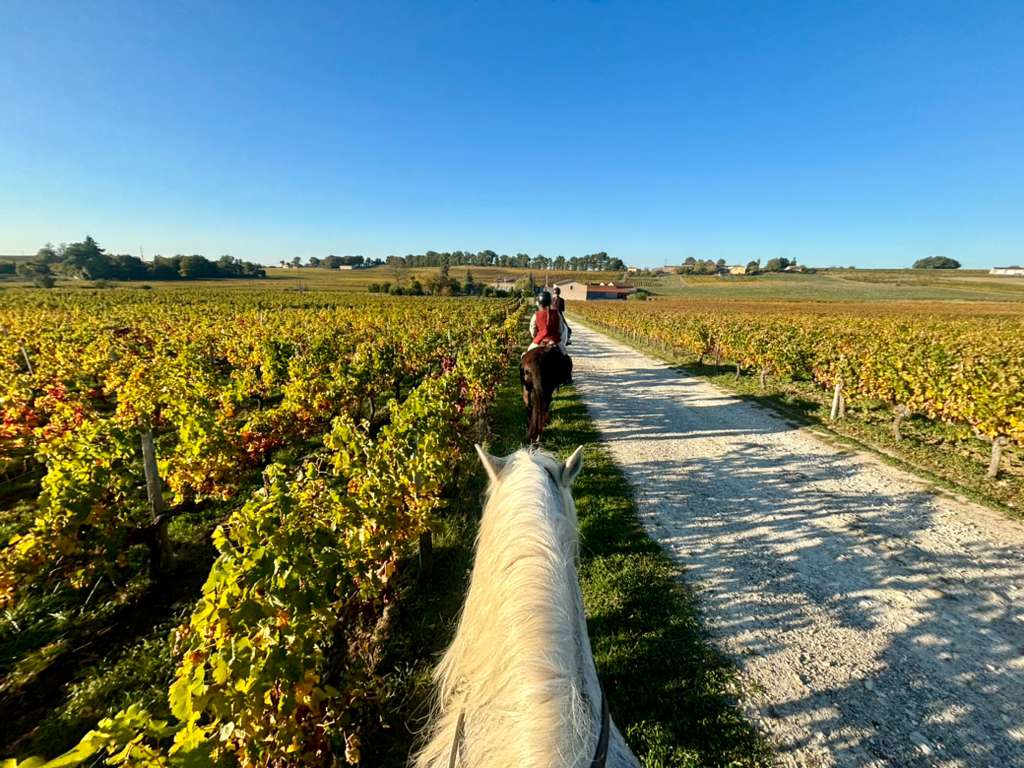 Image Les grands vins de Bordeaux à cheval