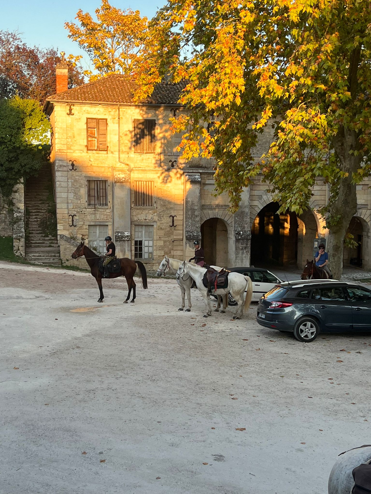 Image Les grands vins de Bordeaux à cheval