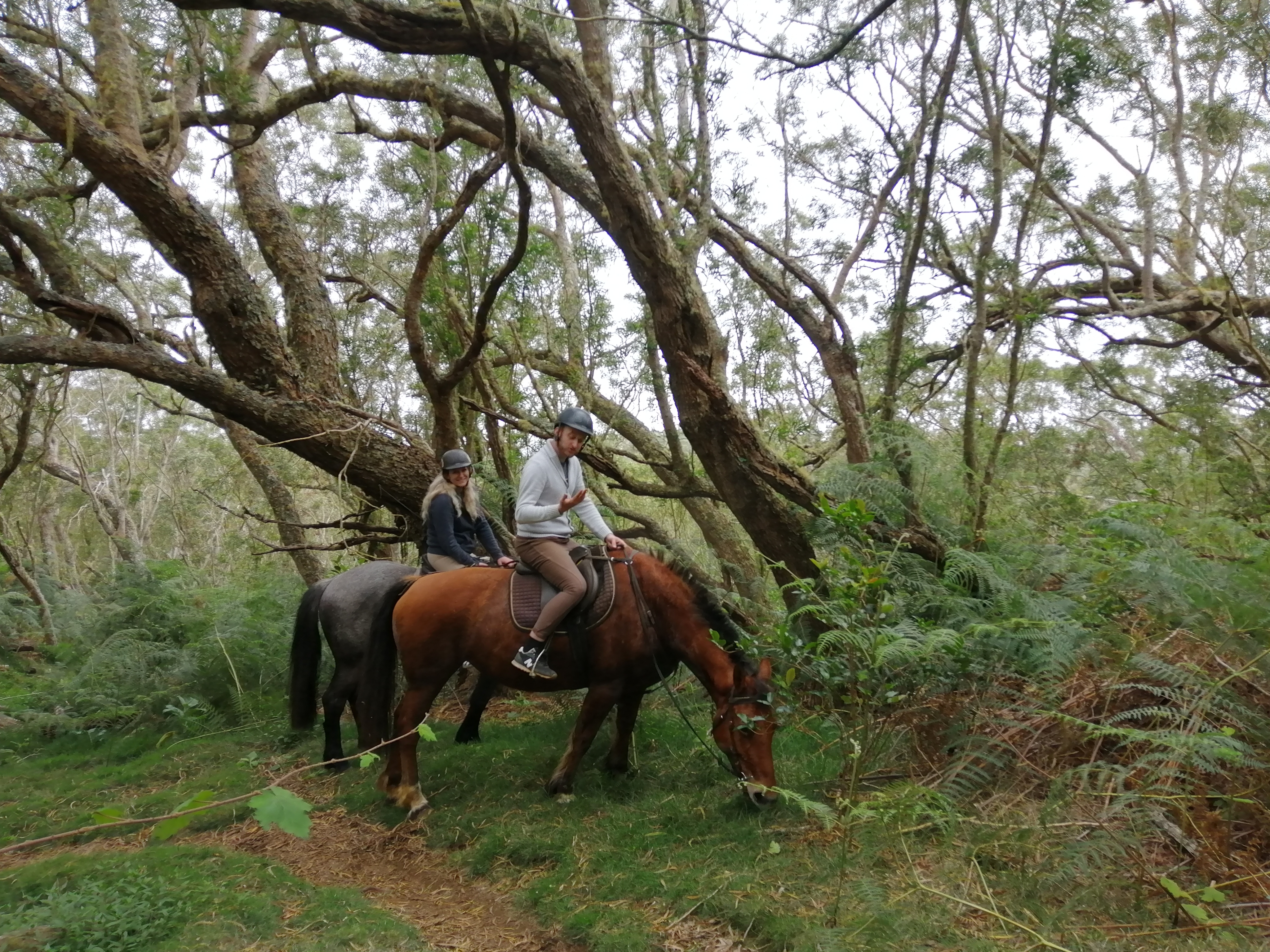 Image Réunion : Découverte de la Réunion à cheval