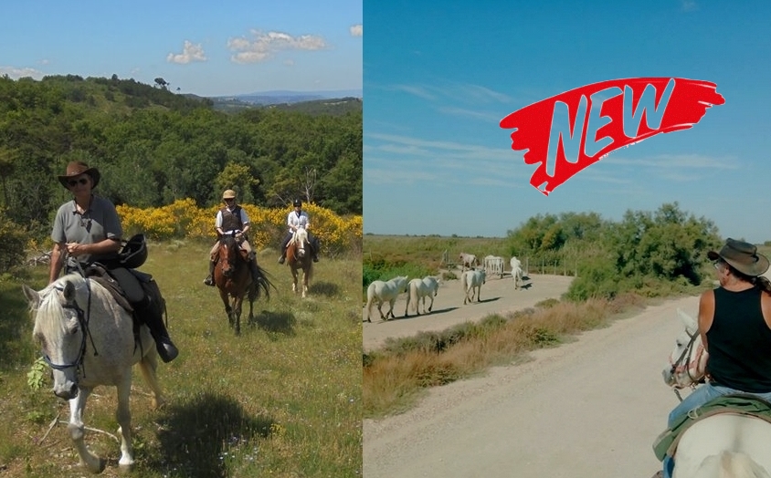 Image Découverte du Luberon et de la Camargue à cheval