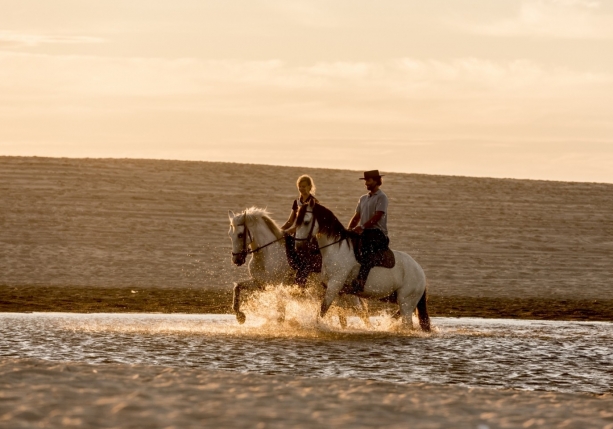 Image Stage de dressage et d'équitation Portugaise en quinta de grand confort + Randonnée à cheval au Port