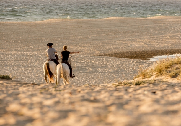 Image Stage de dressage et d'équitation Portugaise en quinta de grand confort + Randonnée à cheval au Port