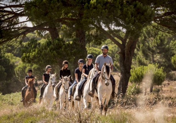 Image Stage de dressage et d'équitation Portugaise en quinta de grand confort + Randonnée à cheval au Port