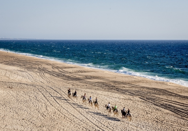 Image Stage de dressage et d'équitation Portugaise en quinta de grand confort + Randonnée à cheval au Port