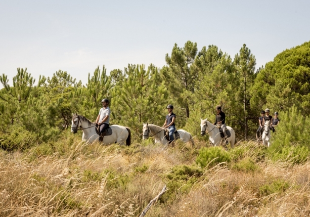 Image Rando à cheval au Portugal dans les collines et sur les plages de la Serra de Grândola