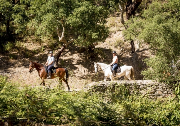 Image Stage de dressage et d'équitation Portugaise en quinta de grand confort + Randonnée à cheval au Port
