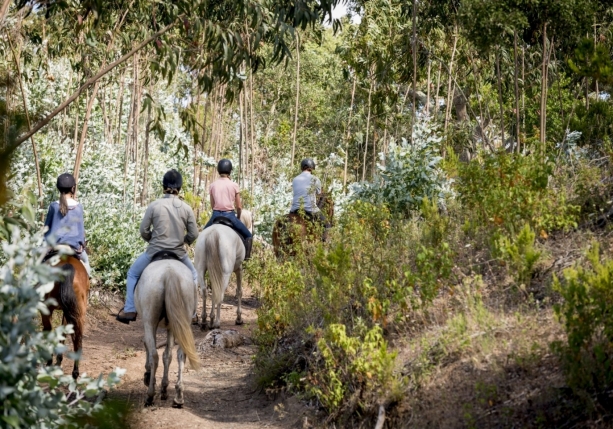 Image Rando à cheval au Portugal dans les collines et sur les plages de la Serra de Grândola