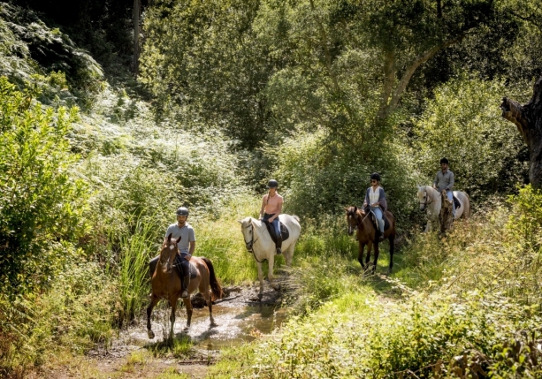 Image Stage de dressage et d'équitation Portugaise en quinta de grand confort + Randonnée à cheval au Port