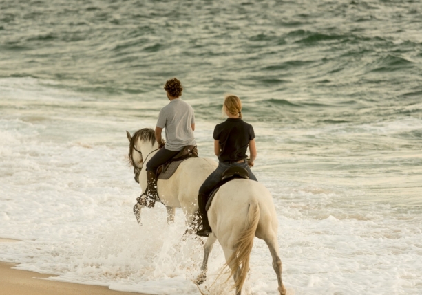 Image Rando à cheval au Portugal dans les collines et sur les plages de la Serra de Grândola