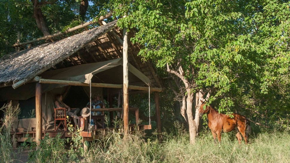 Image Afrique du Sud & Botswana : Exploration de la faune en safari à cheval