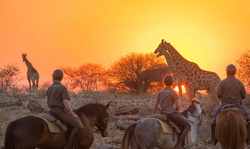 Image Afrique du Sud & Botswana : Exploration de la faune en safari à cheval