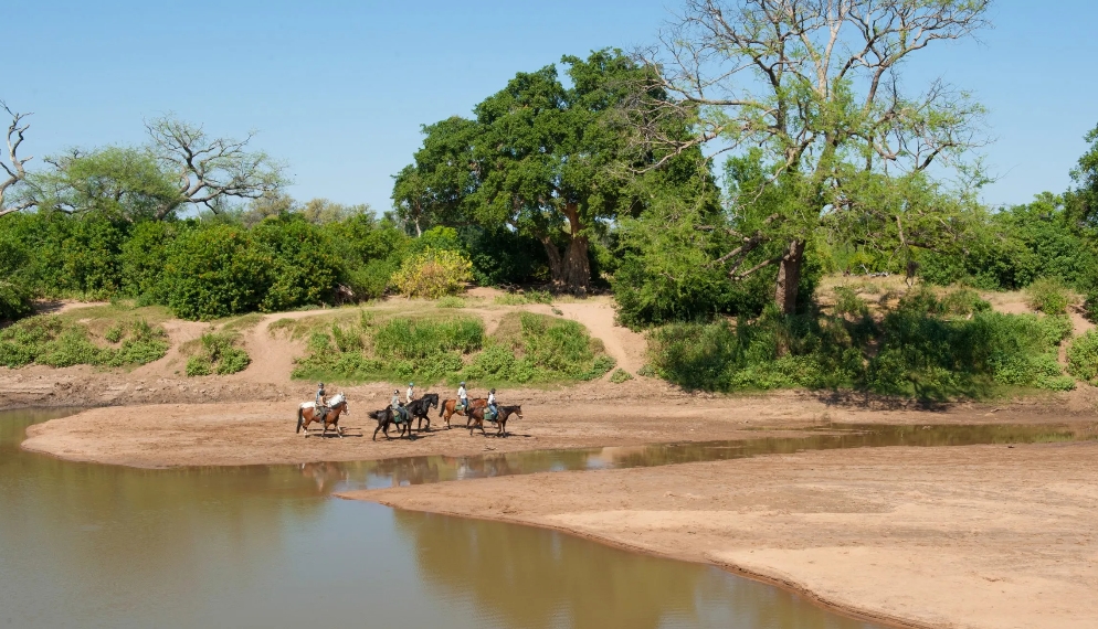 Image Afrique du Sud & Botswana : Exploration de la faune en safari à cheval