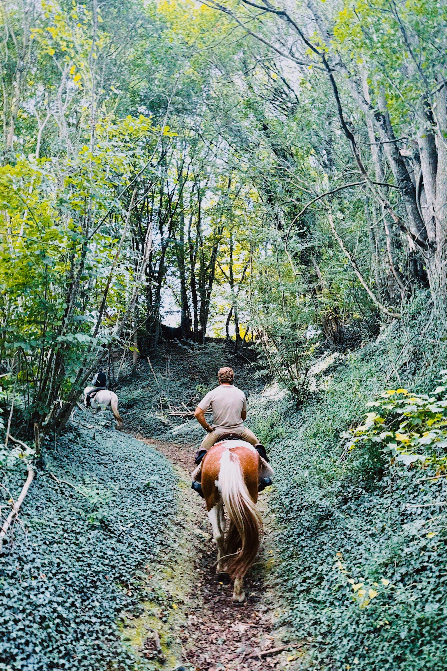 Image Vallée de la Loire : Sancerre et le Sancerrois à cheval