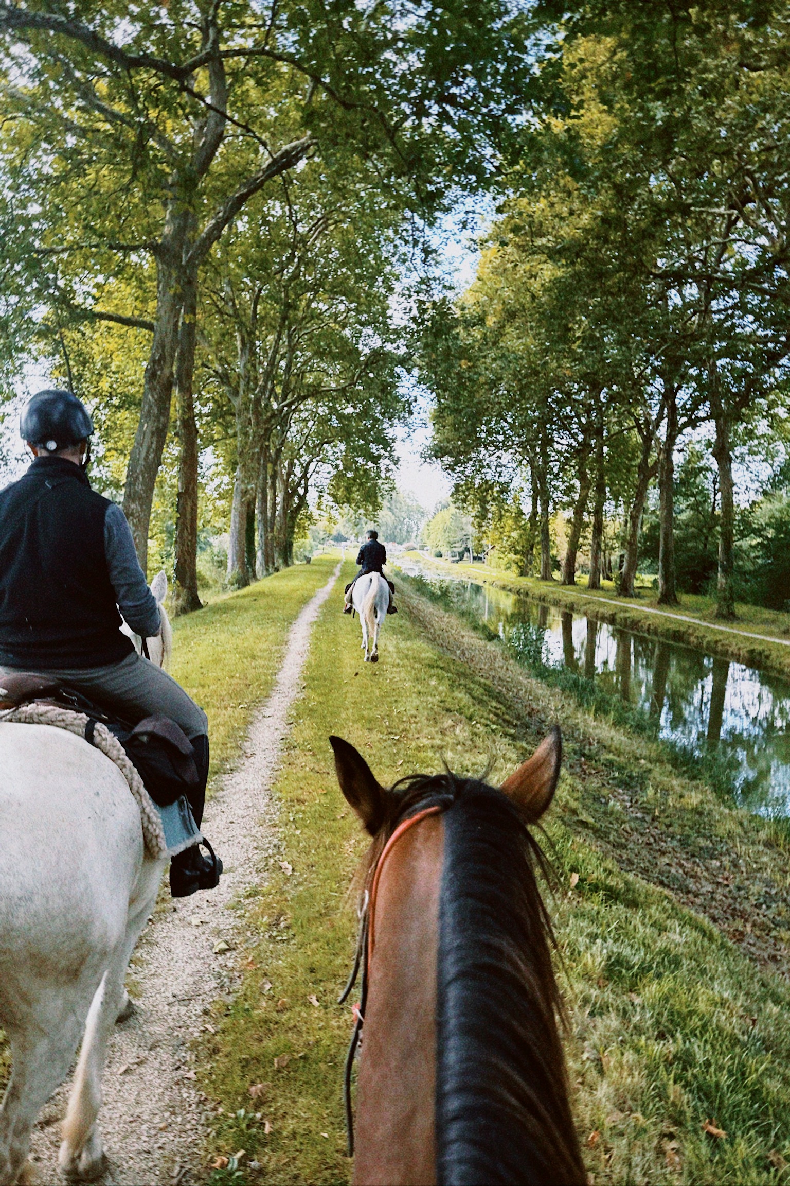 Image Vallée de la Loire : Sancerre et le Sancerrois à cheval