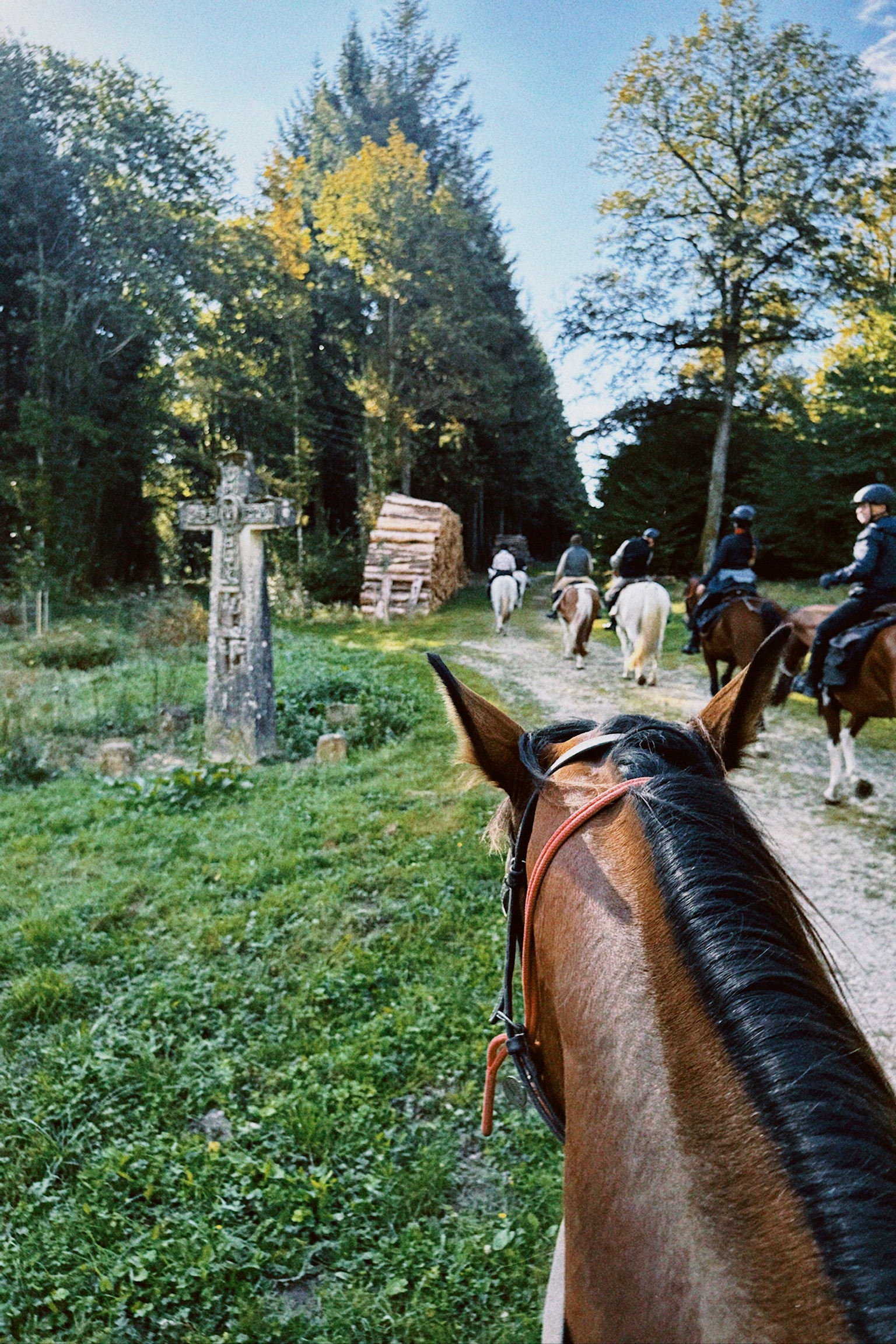Image Vallée de la Loire : Sancerre et le Sancerrois à cheval