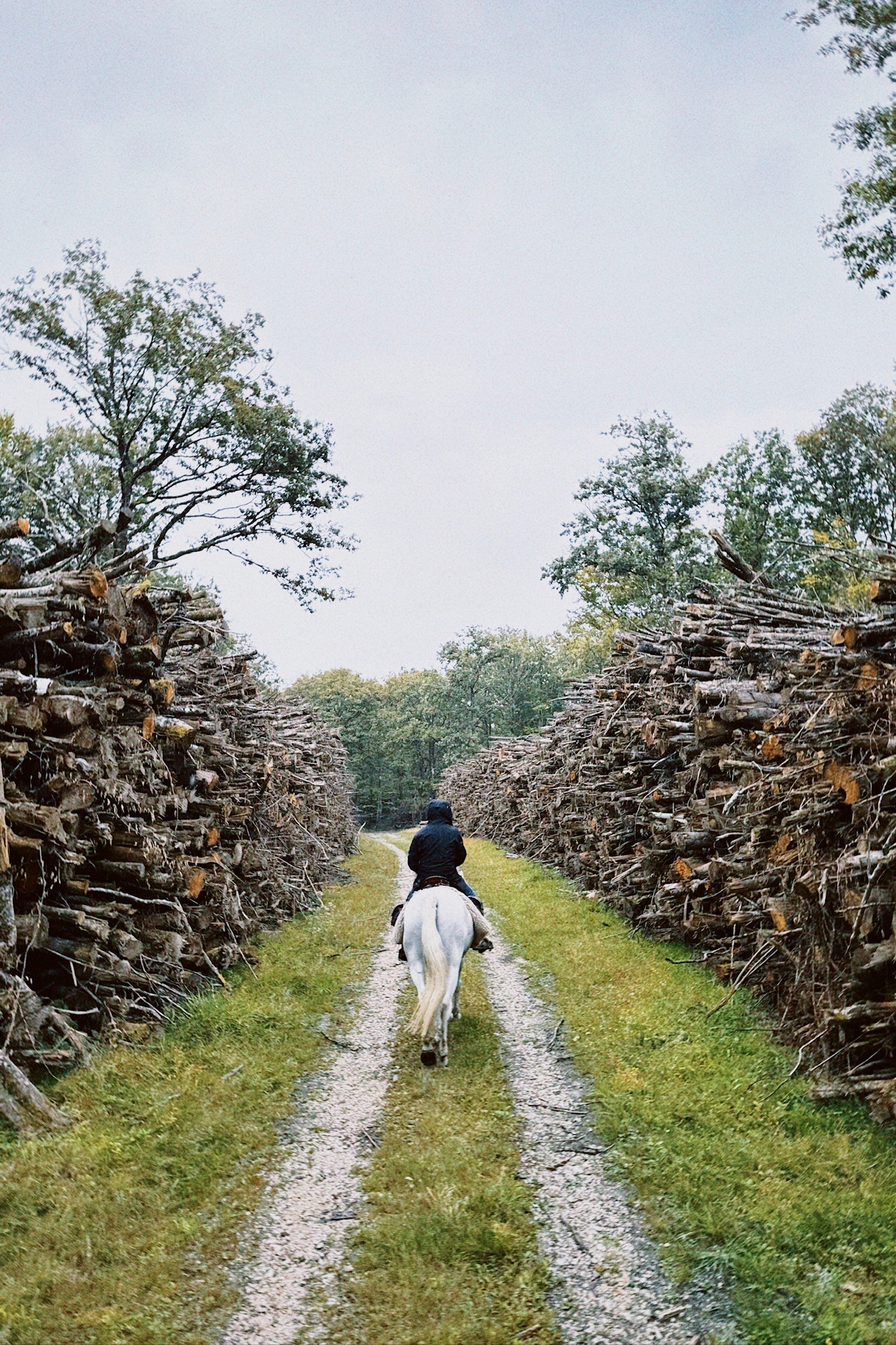Image Vallée de la Loire : Sancerre et le Sancerrois à cheval