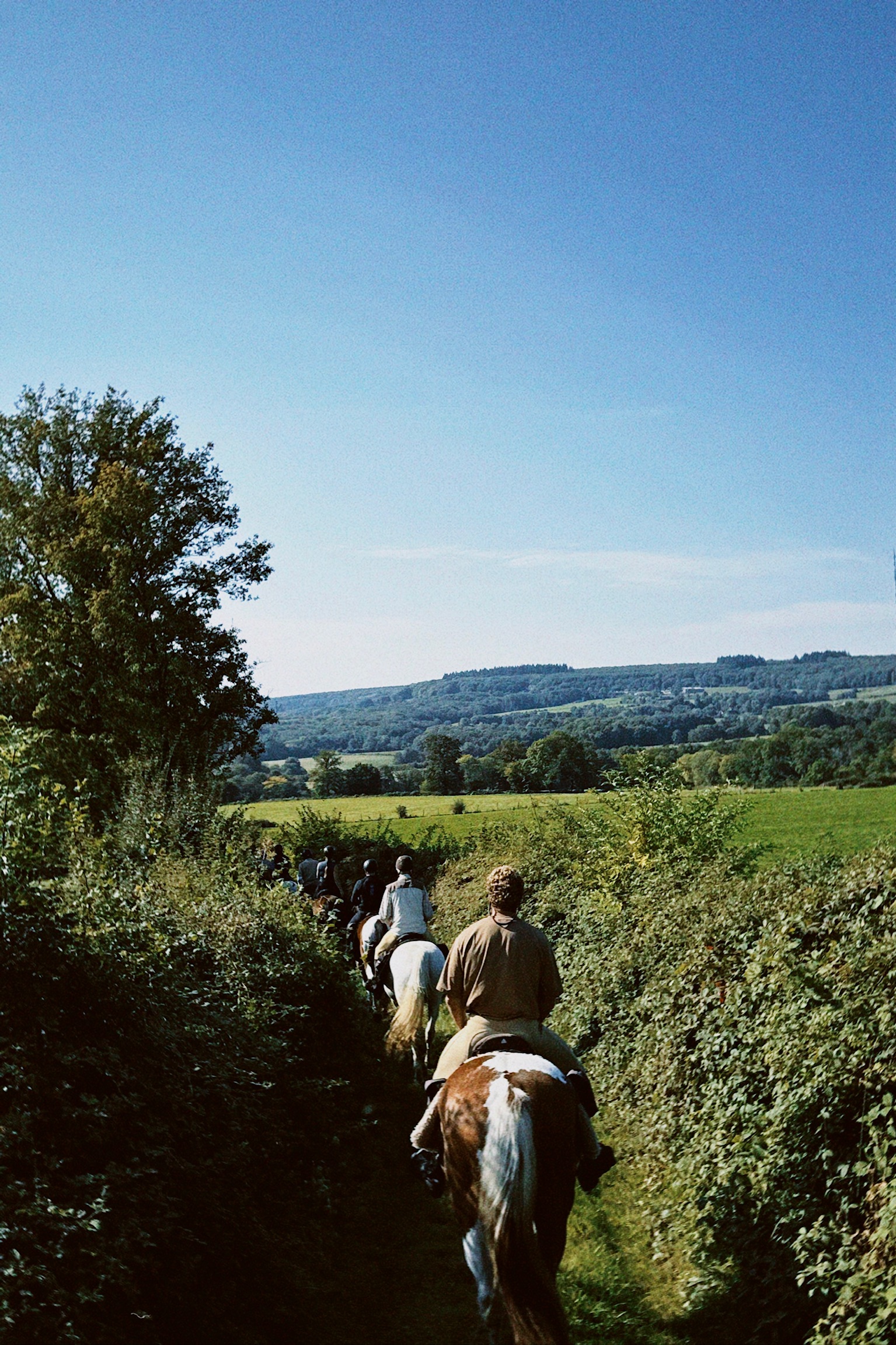 Image Vallée de la Loire : Sancerre et le Sancerrois à cheval