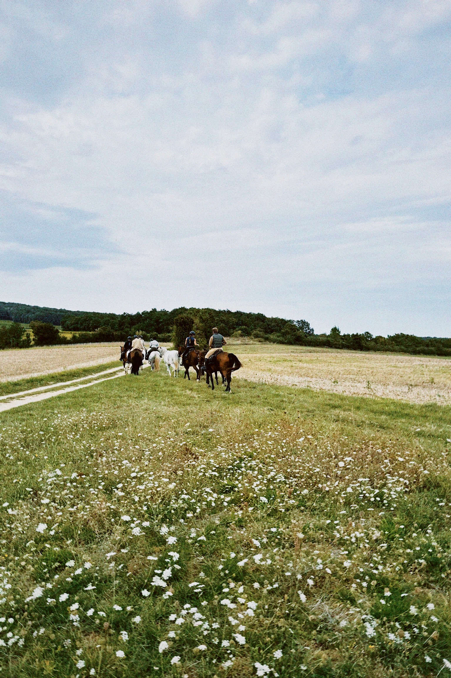 Image Vallée de la Loire : Sancerre et le Sancerrois à cheval