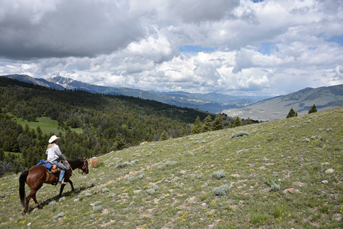 Image Usa : Sejour en ranch et découverte du Yellowstone