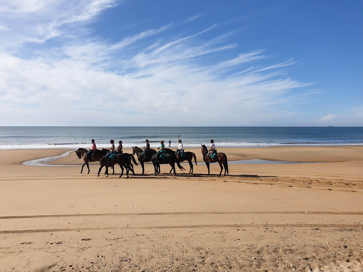 Image Andalousie : Parc de la Doñana, perle de l'Andalousie