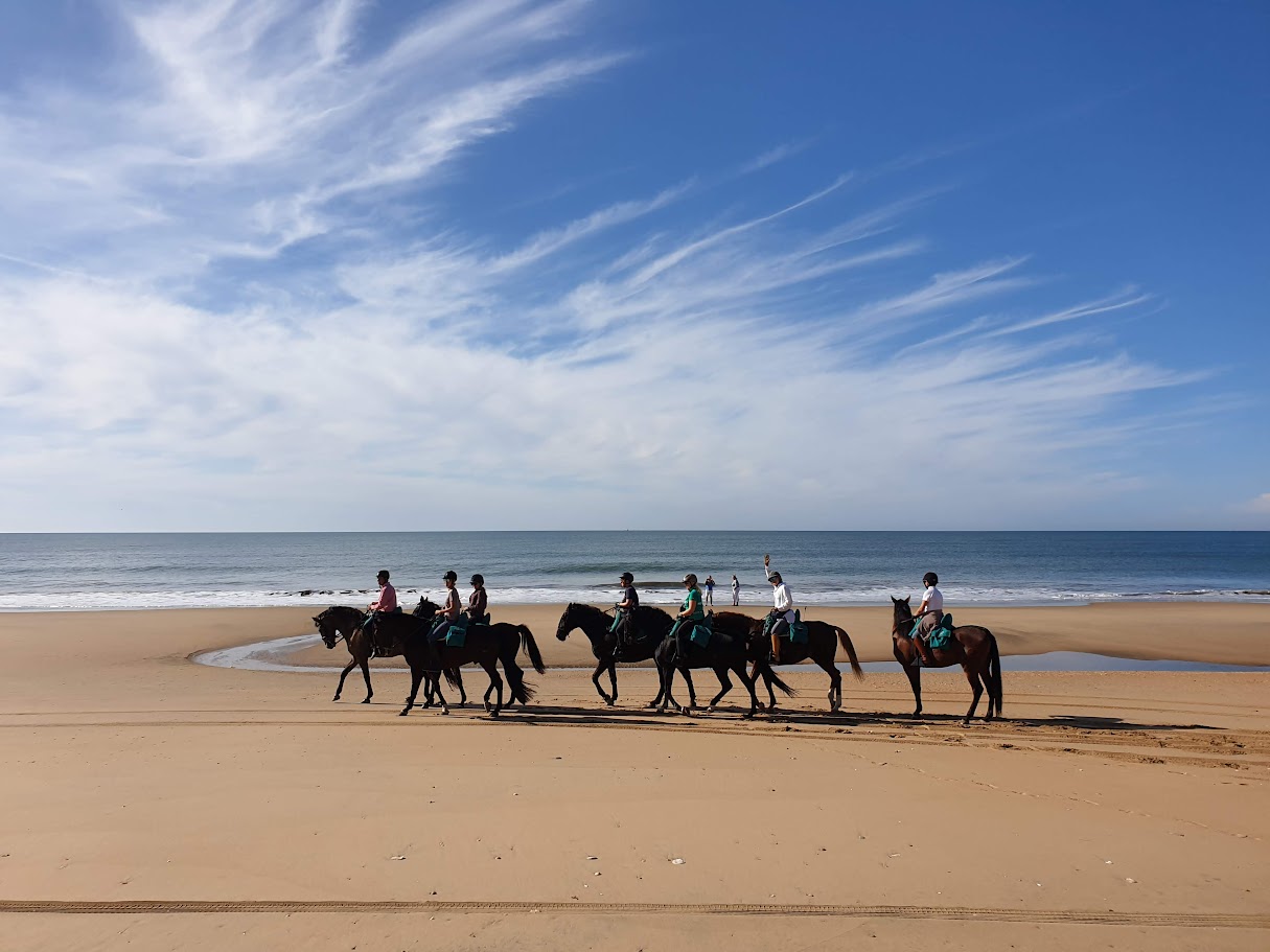 Image Andalousie : Parc de la Doñana, perle de l'Andalousie