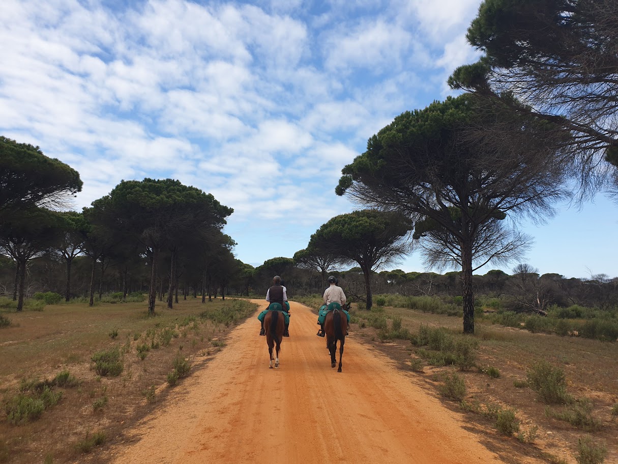 Image Andalousie : Parc de la Doñana, perle de l'Andalousie