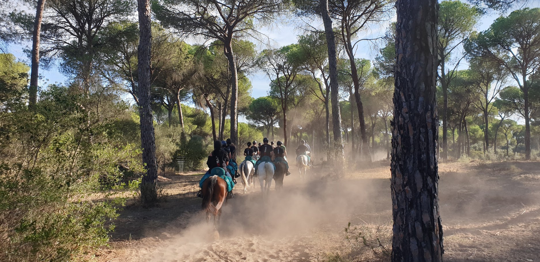 Image Andalousie : Parc de la Doñana, perle de l'Andalousie