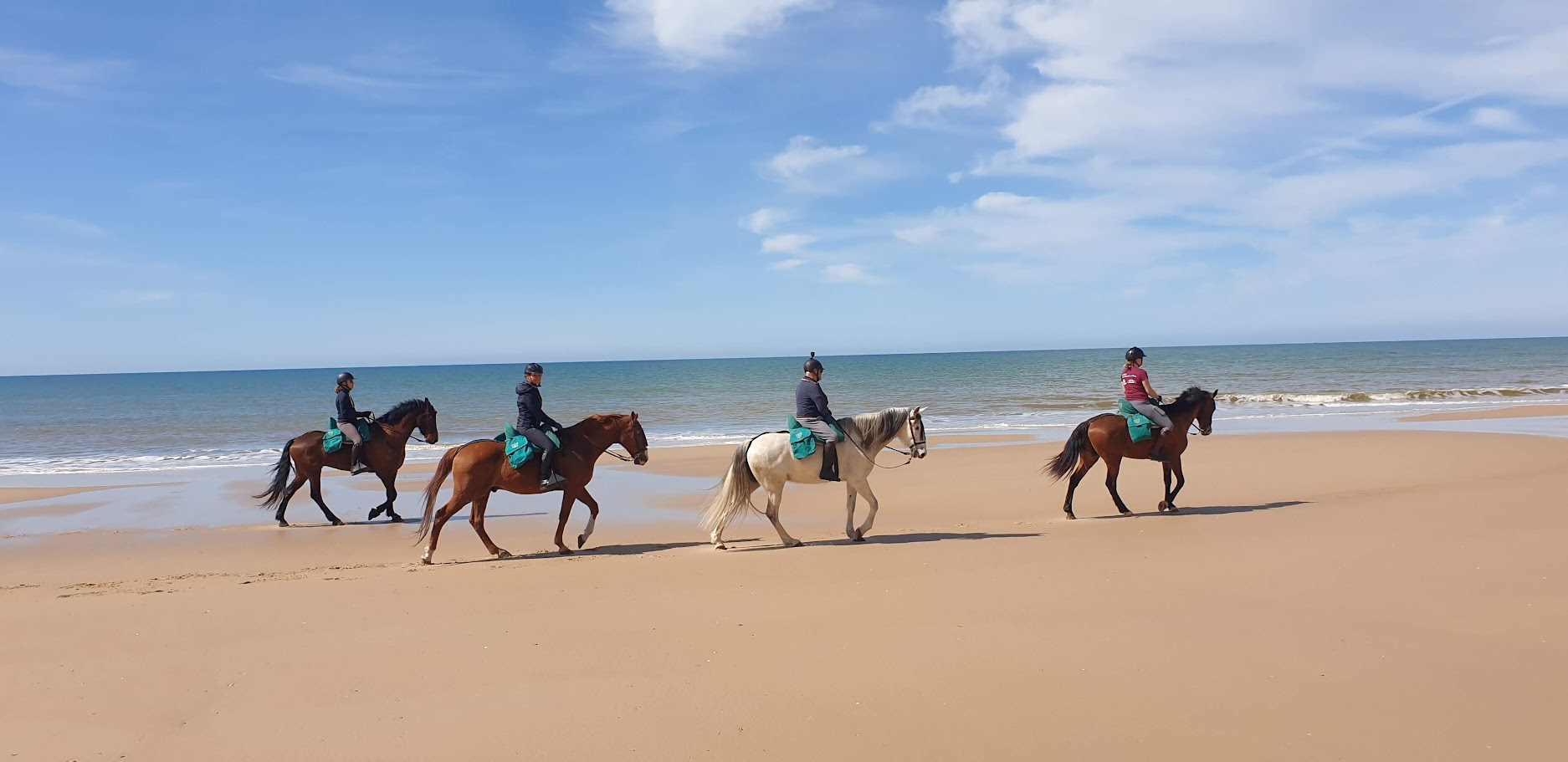 Image Andalousie : Parc de la Doñana, perle de l'Andalousie