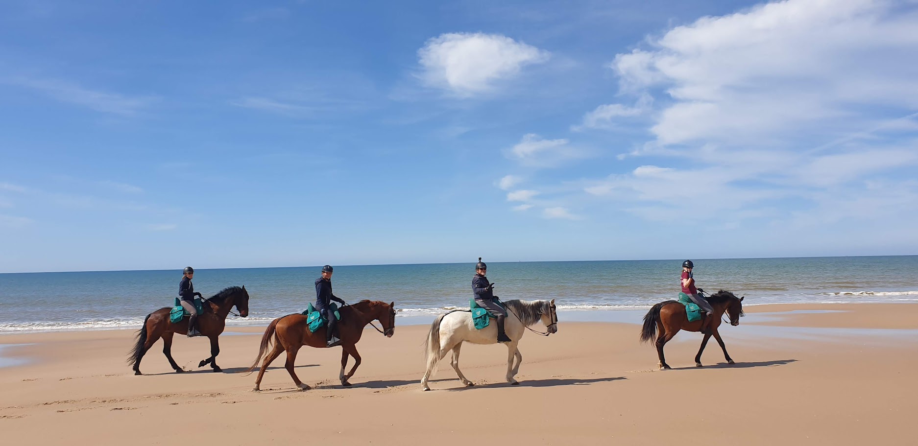 Image Andalousie : Parc de la Doñana, perle de l'Andalousie