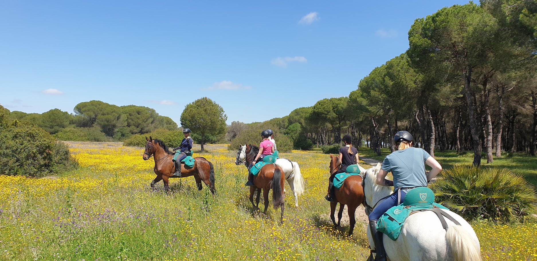 Image Andalousie : Parc de la Doñana, perle de l'Andalousie