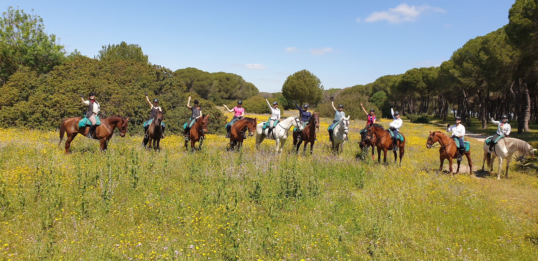 Image Andalousie : Parc de la Doñana, perle de l'Andalousie