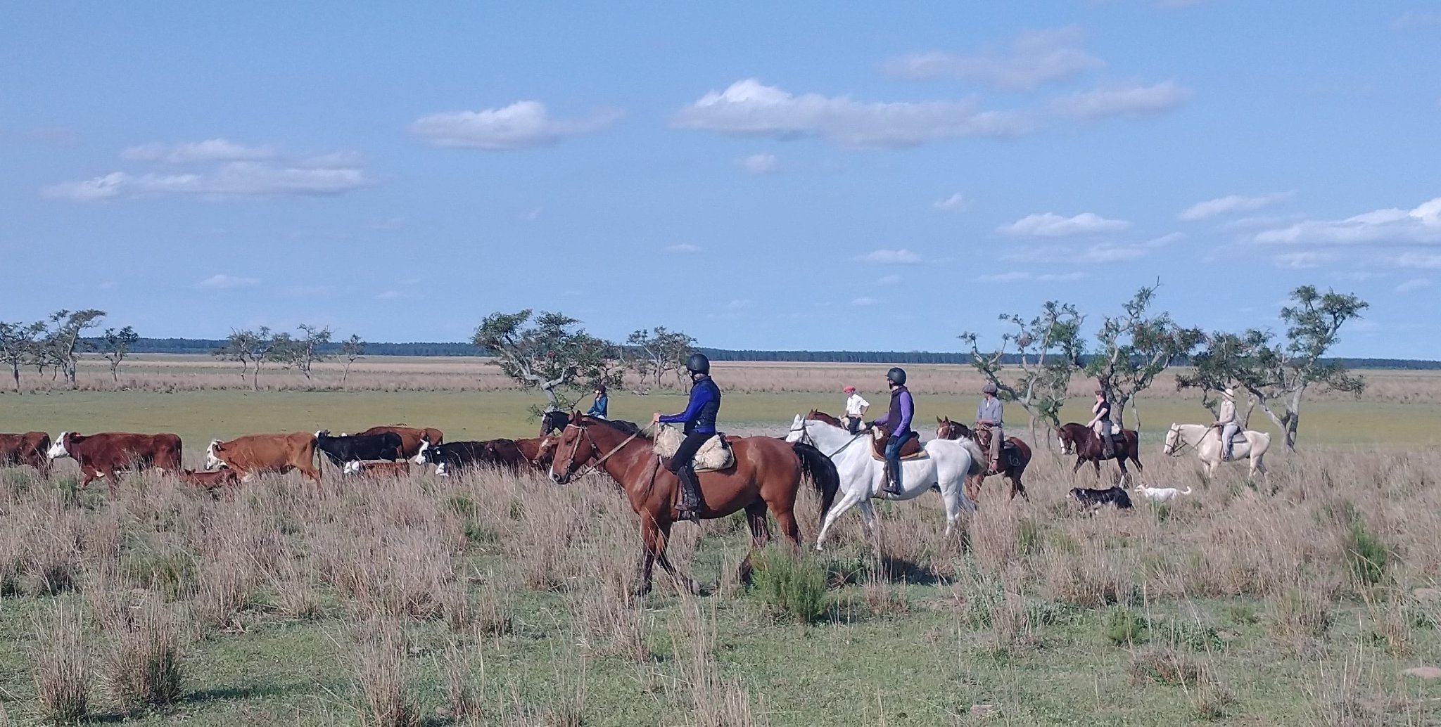 Image Argentine : Semaine à cheval avec les gauchos