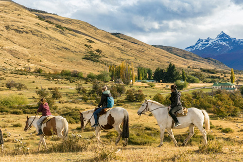 Image Argentine : La Randonnée des Glaciers en Patagonie