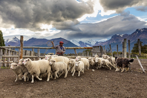 Image Argentine : La Randonnée des Glaciers en Patagonie