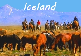 horseback riding trip in Iceland