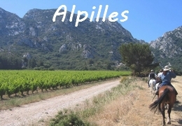 Rando à cheval en Alpilles en Provence