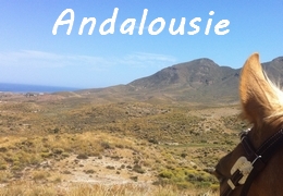 Randonnée à cheval en Espagne en Andaousie